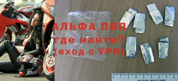 СК Покачи