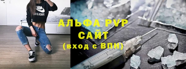 СК Покачи